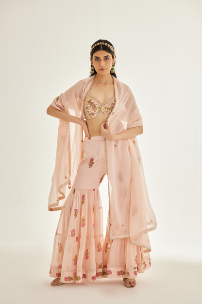 SHELL PINK SHARARA SET