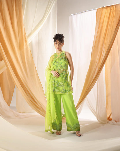 GREEN FLASH  KURTA SET