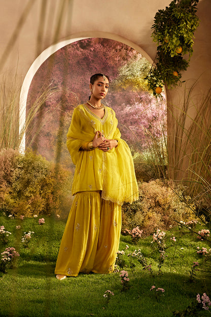 PARO MUSTARD SUIT SET