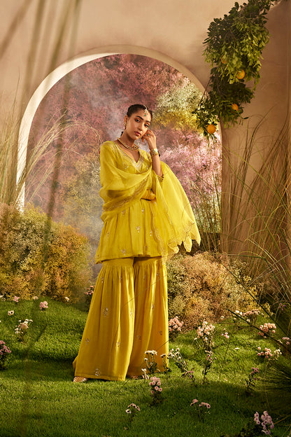 PARO MUSTARD SUIT SET