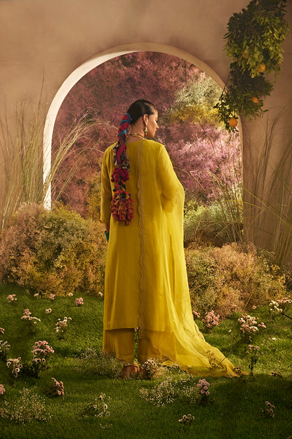 PARO MUSTARD SUIT SET