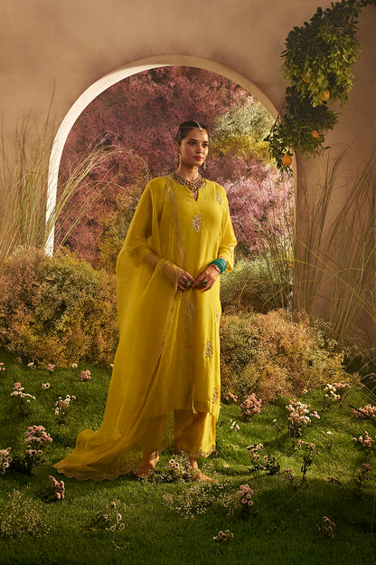 PARO MUSTARD SUIT SET