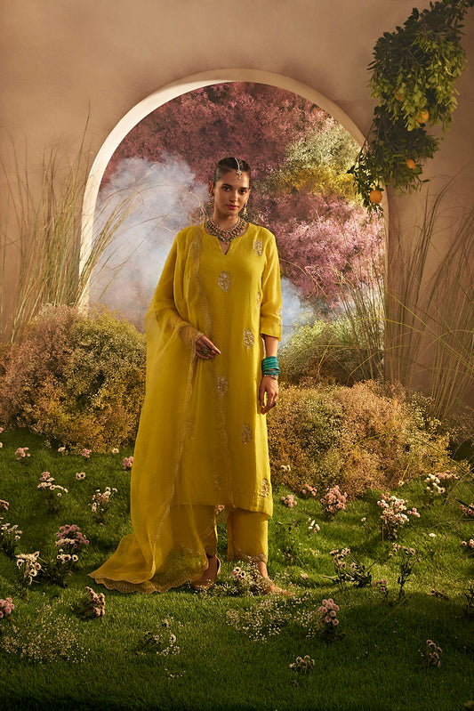 PARO MUSTARD SUIT SET