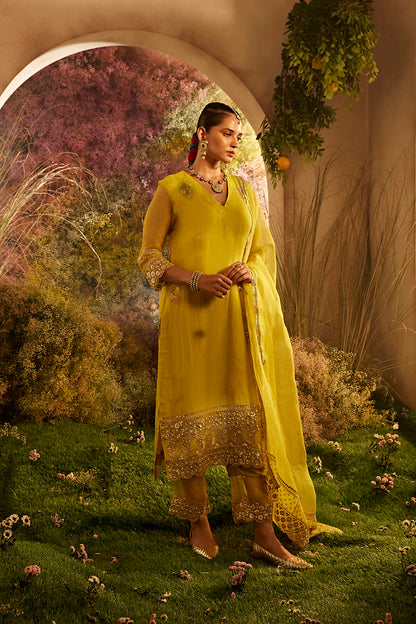 PARO MUSTARD SUIT SET