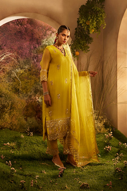 PARO MUSTARD SUIT SET