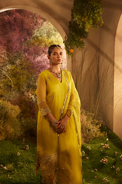 PARO MUSTARD SUIT SET