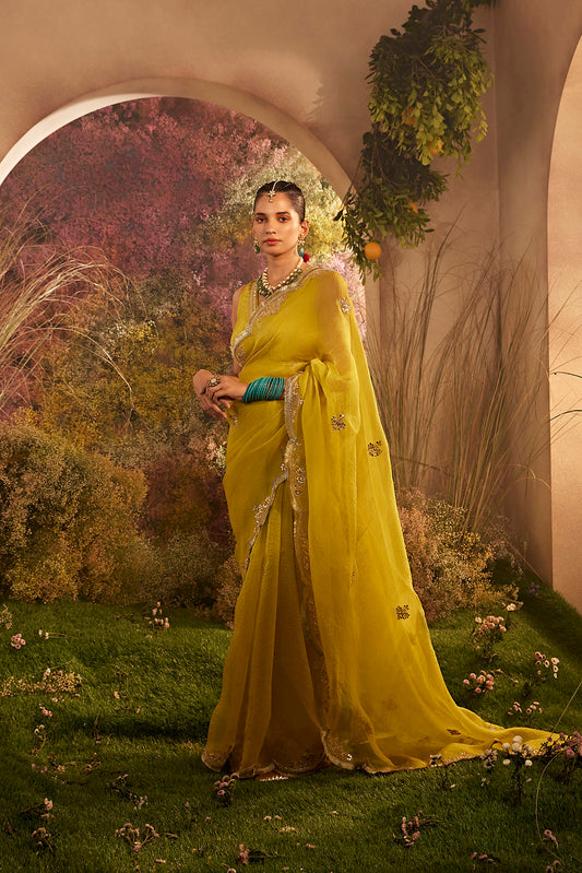 PARO MUSTARD SAREE