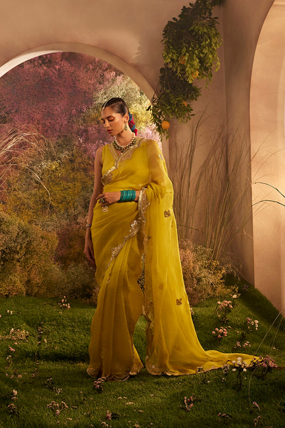 PARO MUSTARD SAREE