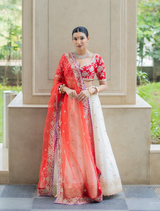 GOLCONDA DAMINI LEHENGA SET