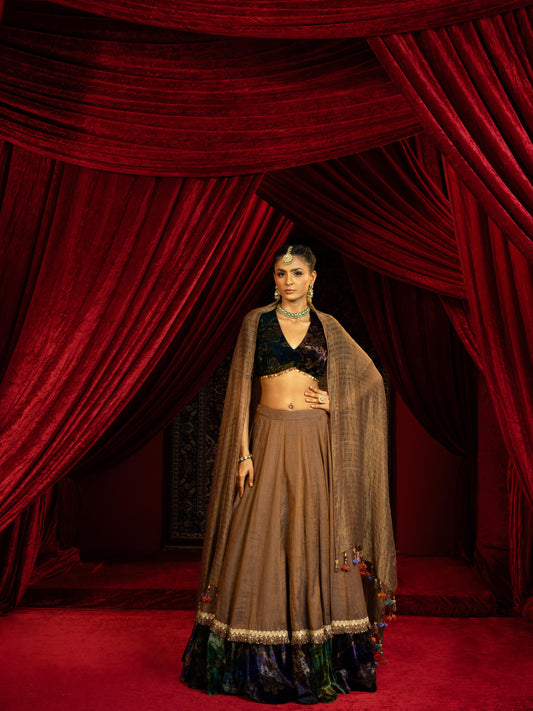 TAN BROWN TISSUE LEHENGA WITH PRINTED VELVET BORDER, VELVET BLOUSE & STRIPED DUPATTA