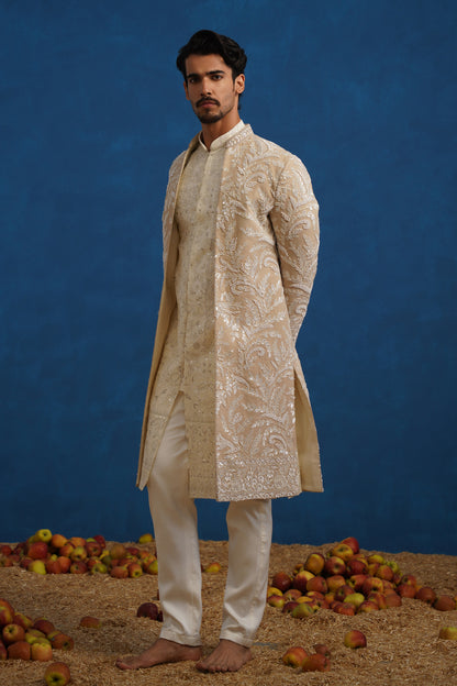 TEJAS CUTDANA CHIKU SHERWANI SET