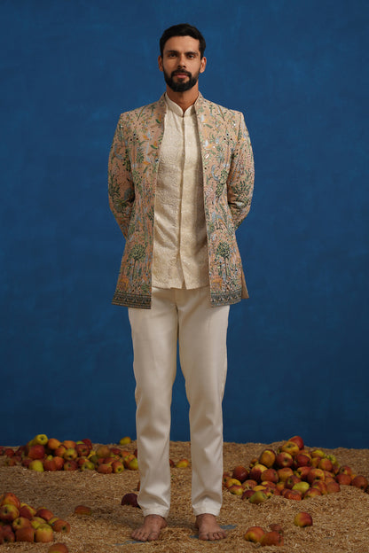 PARIND CHIKU JODHPURI SET