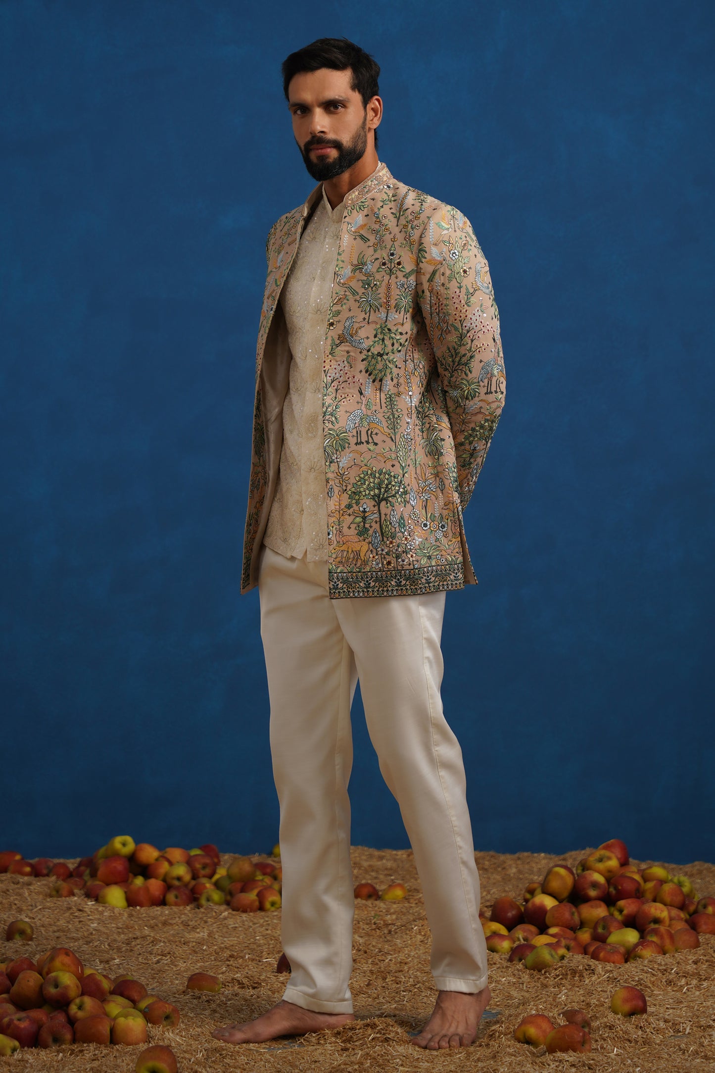 PARIND CHIKU JODHPURI SET