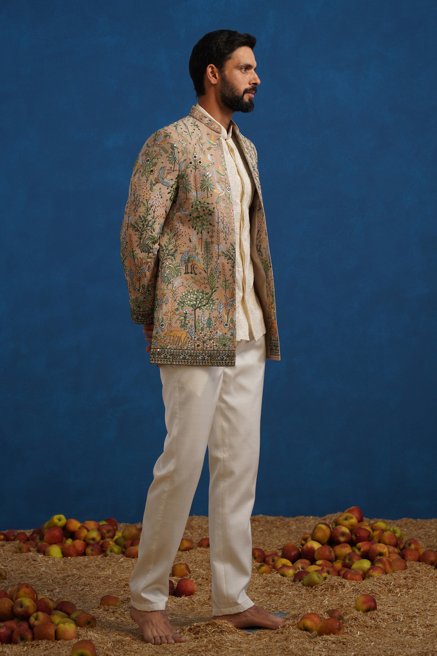PARIND CHIKU JODHPURI SET