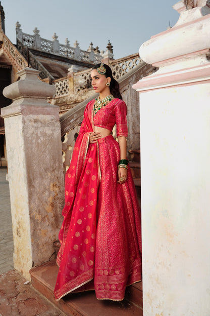 THE GULAABI HEERA LEHENGA