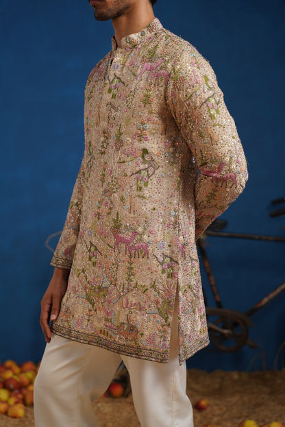 HEERAN CHIKU SHORT KURTA SET