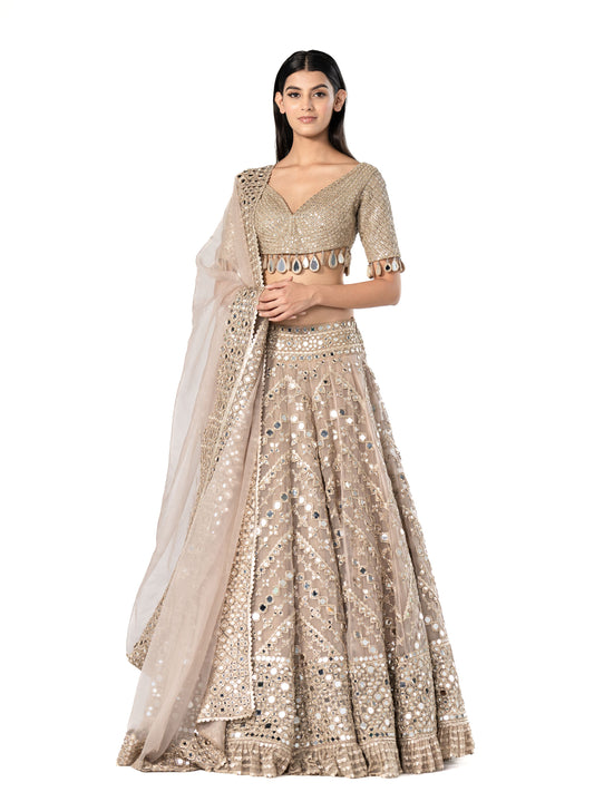 EMBELLISHED LEHENGA SET