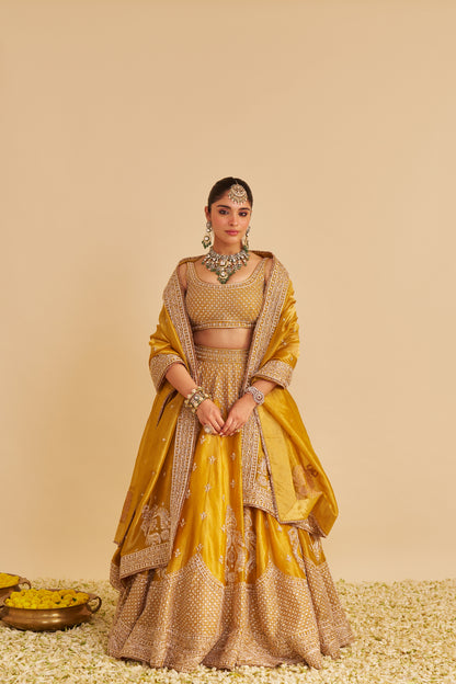 AASHINA - DABKA ZARDOZI EMBROIDERED PURE TISSUE MUSTARD LEHENGA SET