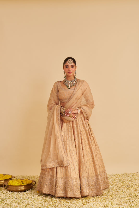 AALIYA - DABKA ZARDOZI EMBROIDERED RAW SILK GOLD LEHENGA SET