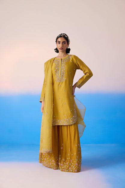 MUSTARD SHARARA SET