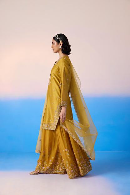 MUSTARD SHARARA SET