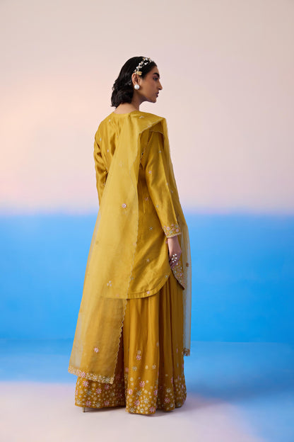 MUSTARD SHARARA SET