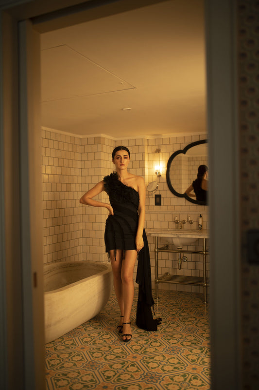 SABLE DRESS