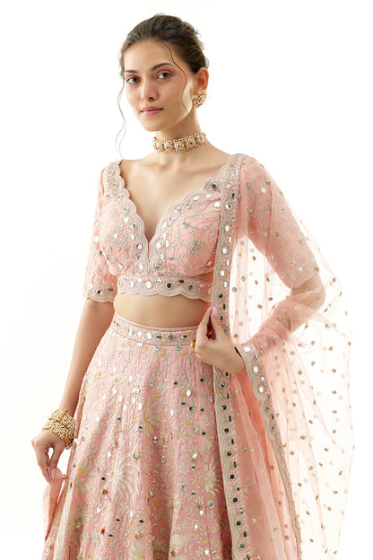RAIMA LEHENGA SET