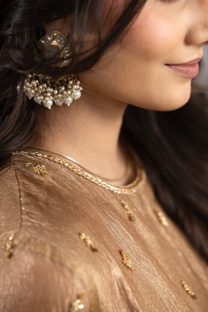 ZARDOZI BUTTA TOP & TISSUE GHARARA