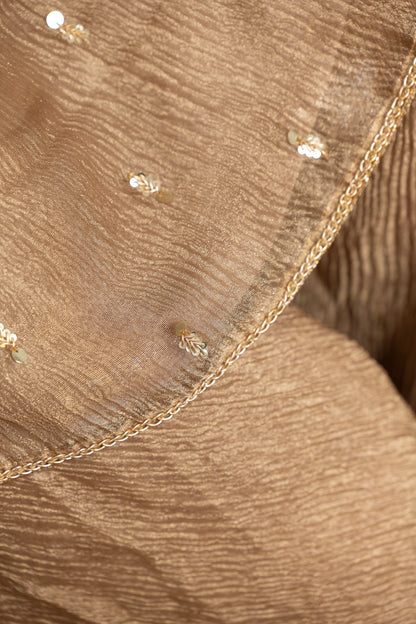 ZARDOZI BUTTA TOP & TISSUE GHARARA