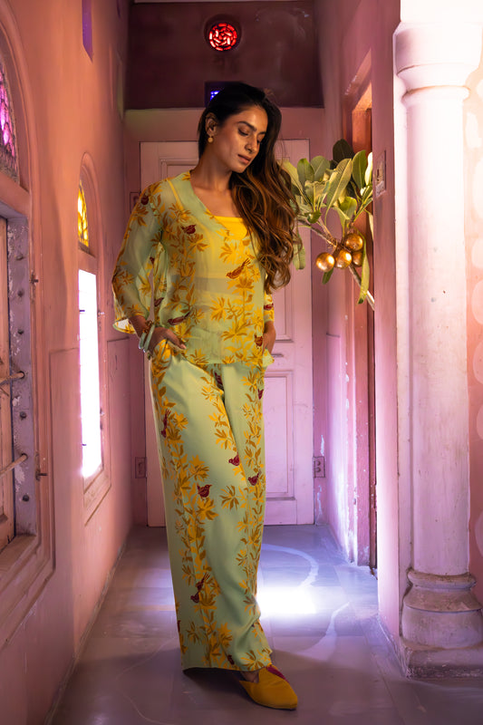 MATCHA GREEN CO-ORD SET