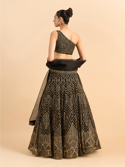 DILKASH LEHENGA SET