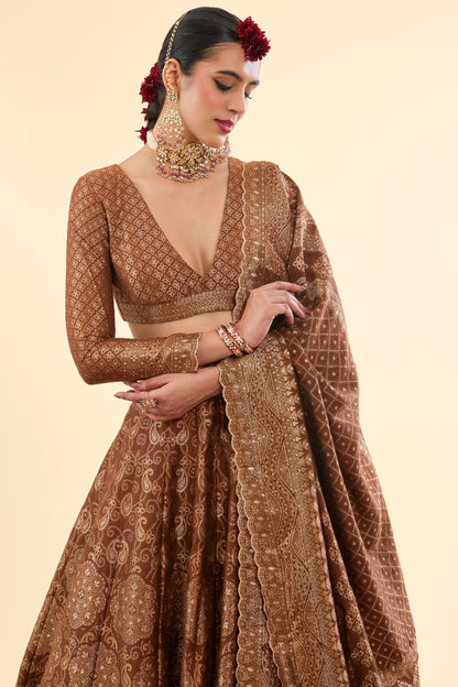SHEESH MAHAL BROWN LEHENGA WITH DUPATTA SET OF 3