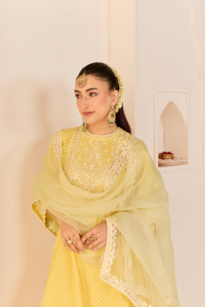 NIDA - LEMON YELLOW  SHORT CHOGA WITH FARSHI SALWAR AND DUPATTA