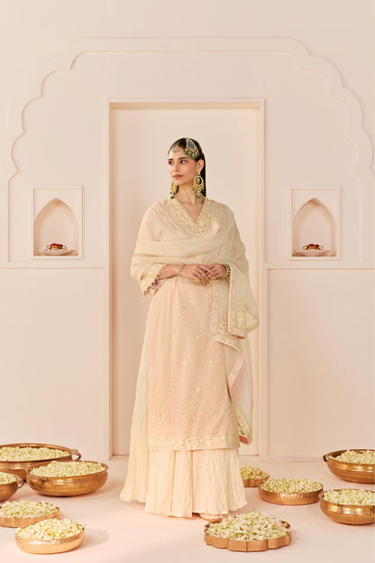 RUHANI - CARNATION PINK LONG KURTA WITH SKIRT AND DUPATTA