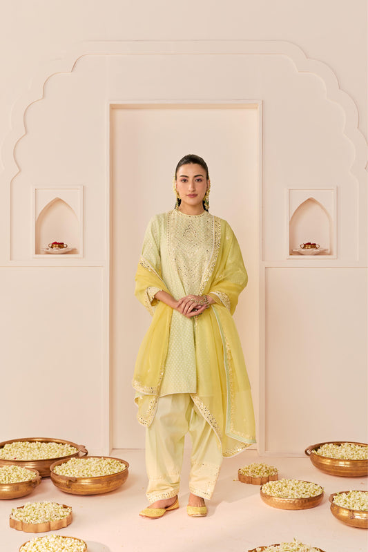 NIDA -  MINT GREEN SHORT CHOGA WITH FARSHI SALWAR AND DUPATTA
