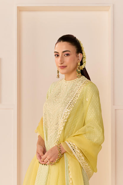 NIDA -  MINT GREEN SHORT CHOGA WITH FARSHI SALWAR AND DUPATTA