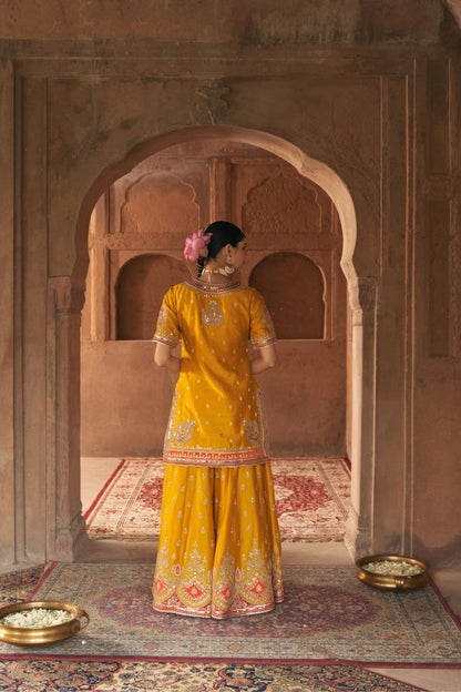 AREESHA - SHORT KURTA WITH SHARARA AND DUPATTA
