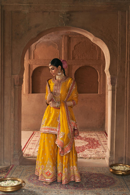 AREESHA - SHORT KURTA WITH SHARARA AND DUPATTA