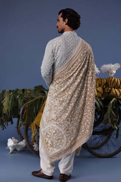 ALI BLUE KURTA SET