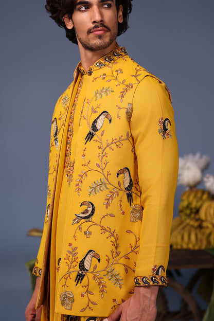 FIZAN MACAW HALDI KURTA JACKET SET