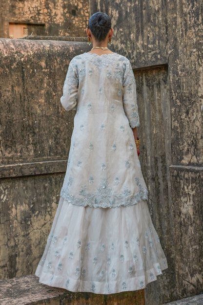 AARNA TISSUE FUSION SET