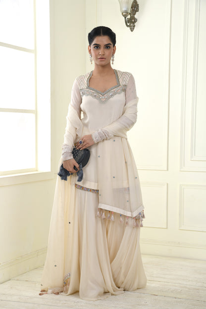 DIVINE EMBROIDERED SHARARA SUIT SET