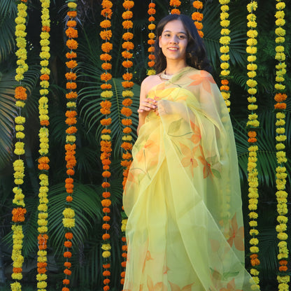 FULL DAISIES SAREE