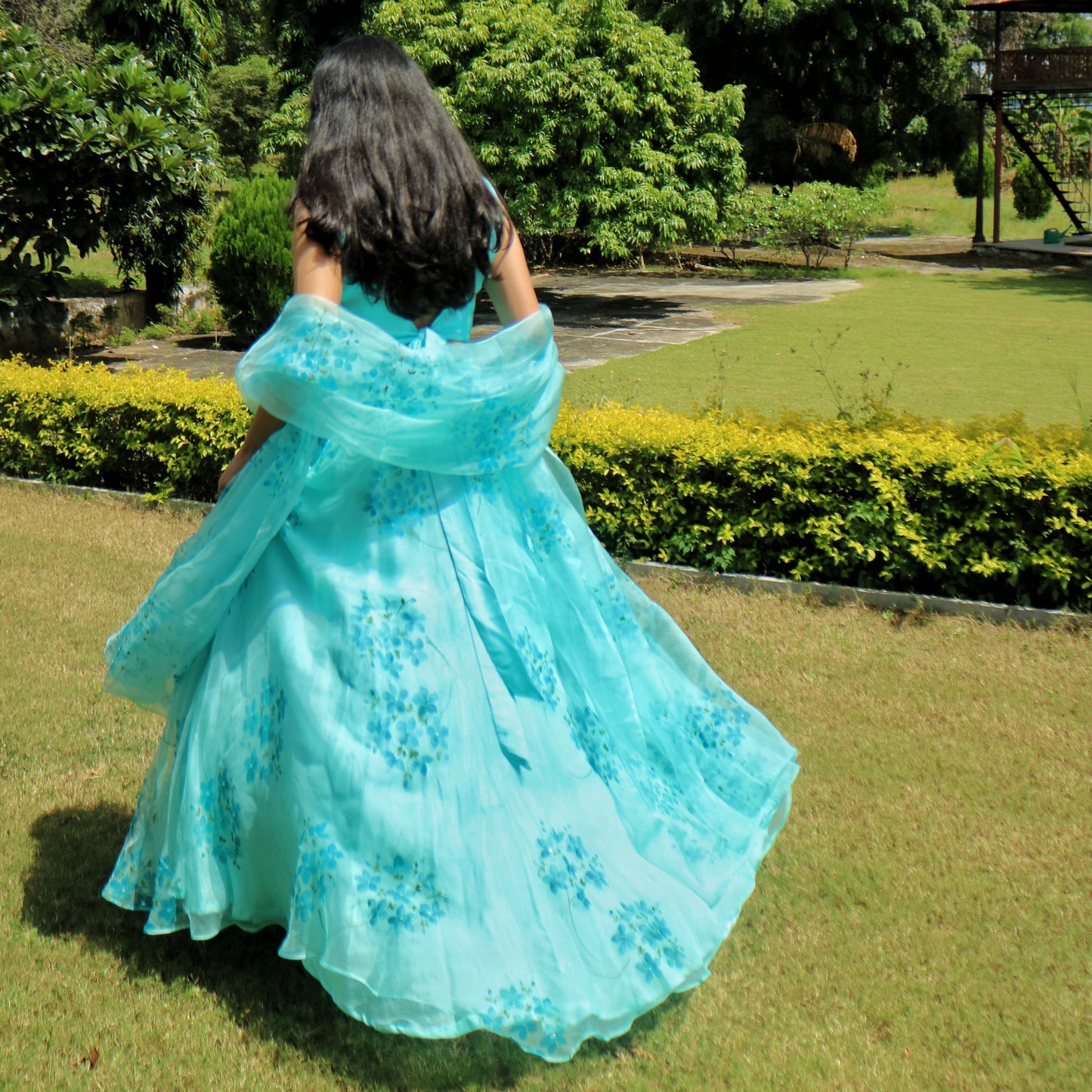 HYDRANGEA LEHENGA